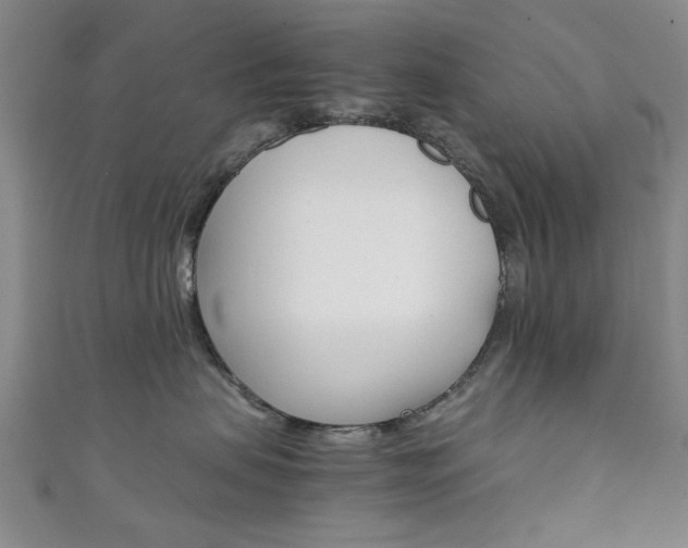 X0000111350479200907100939