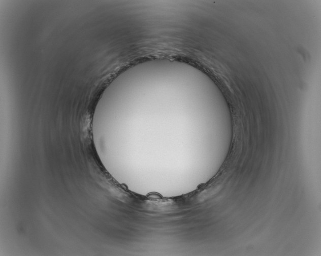 X0000111350480200907100939
