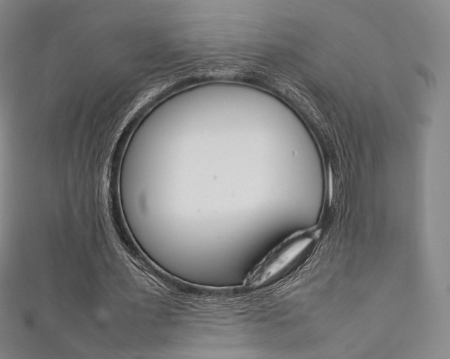 X0000111350483200907100938