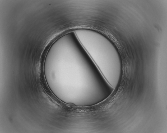 X0000111350484200907100938