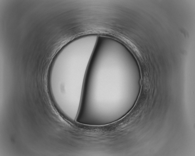 X0000111350485200907100938