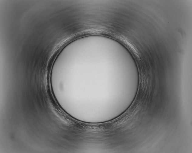 X0000111350486200907100938