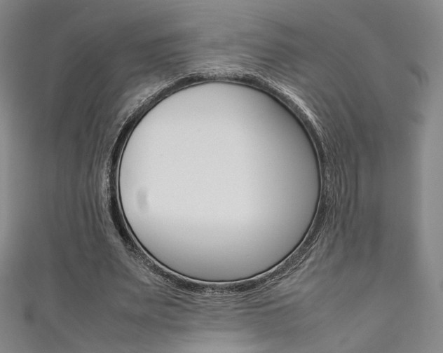 X0000111350487200907100938