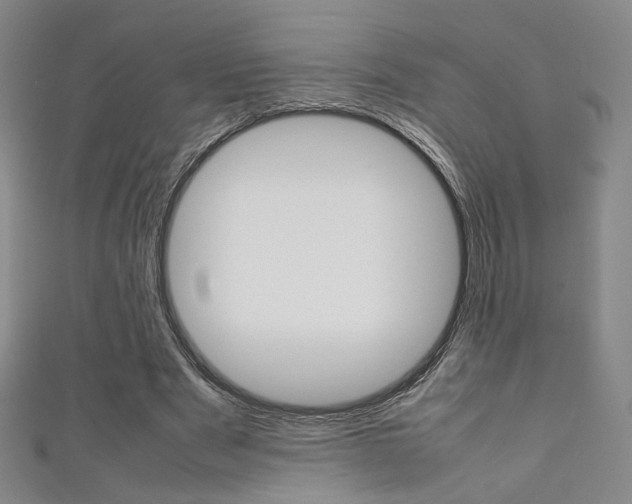 X0000111350489200907100938