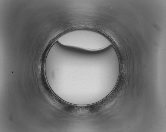 X0000111350491200907100938