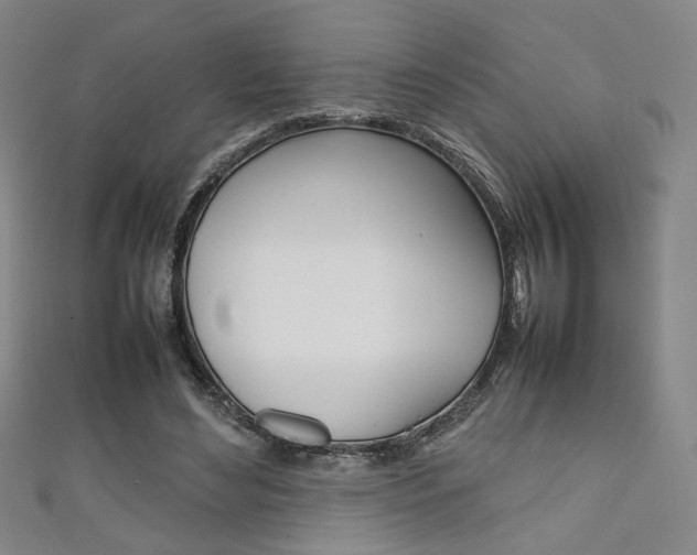 X0000111350492200907100938