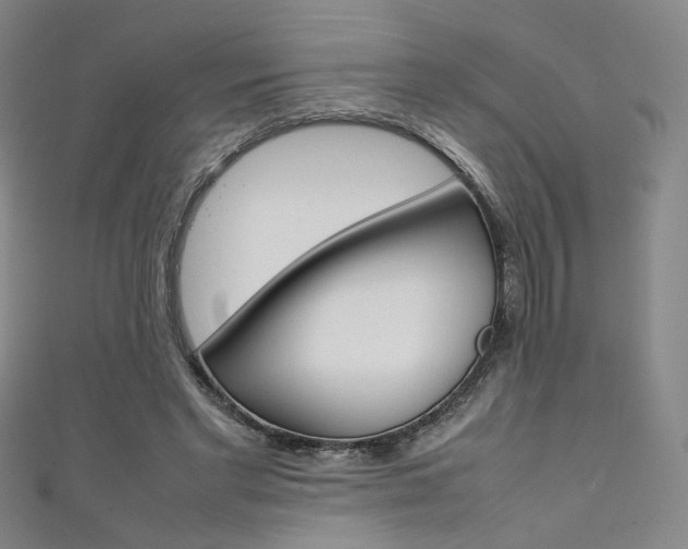 X0000111350493200907100938