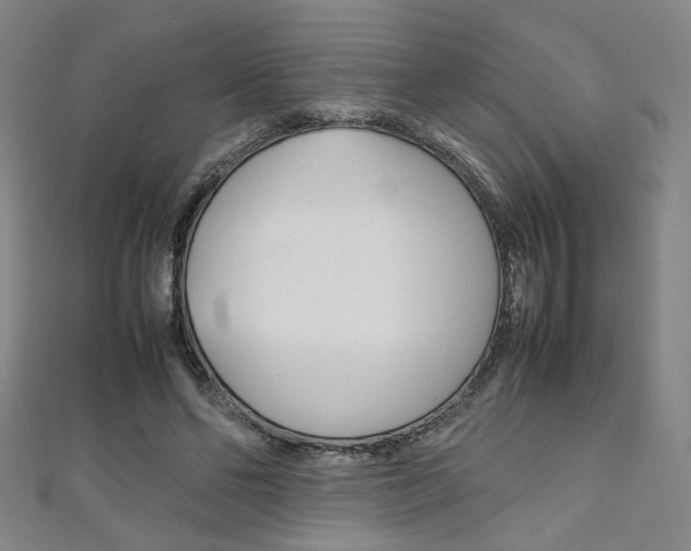 X0000111350494200907100938