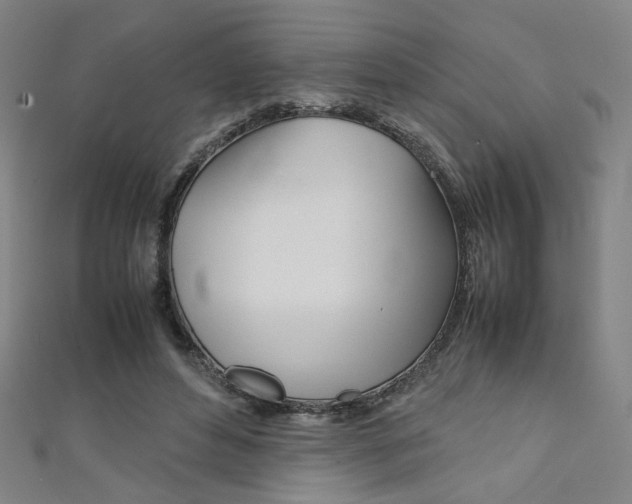 X0000111350496200907100938
