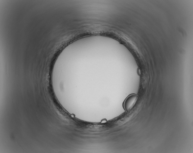 X0000111350497200907100938