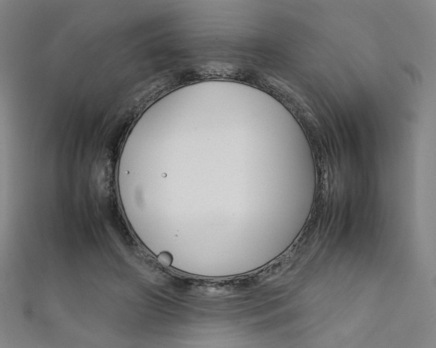 X0000111350498200907100938