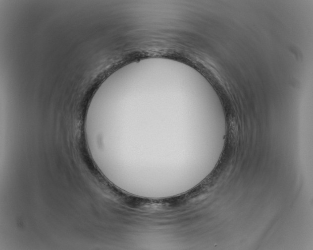 X0000111350499200907100938