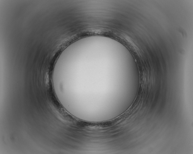 X0000111350500200907100938