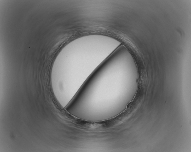 X0000111350501200907100938