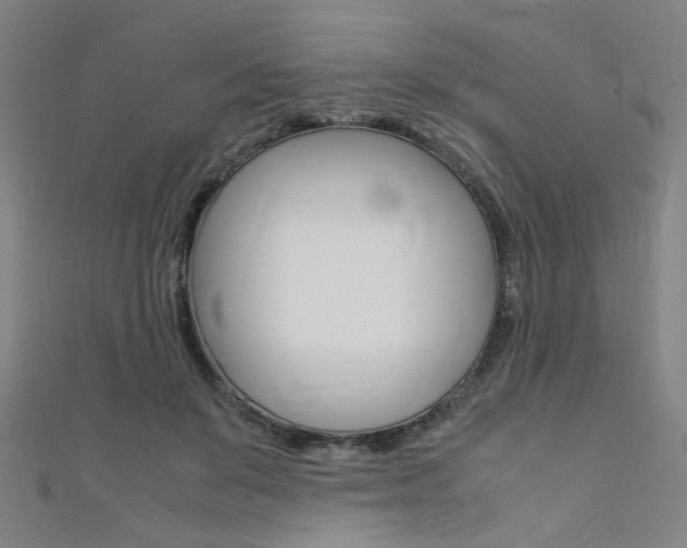 X0000111350503200907100938