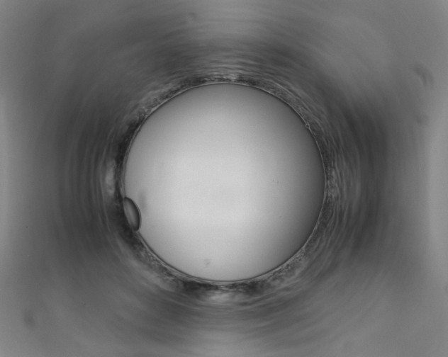 X0000111350504200907100938