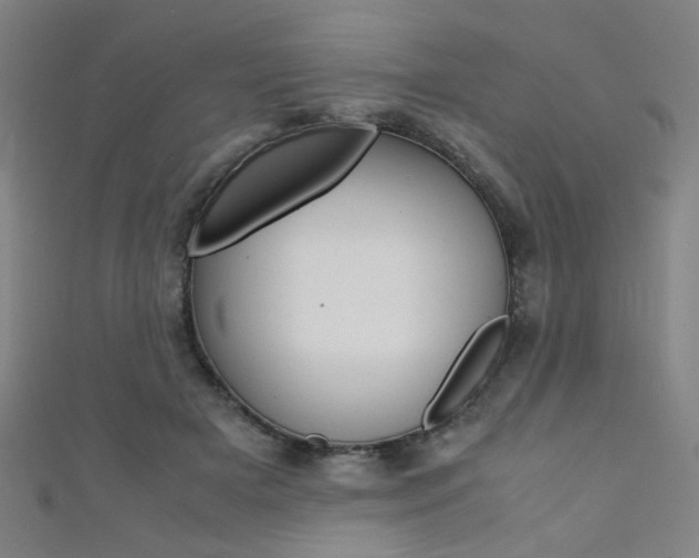 X0000111350505200907100938