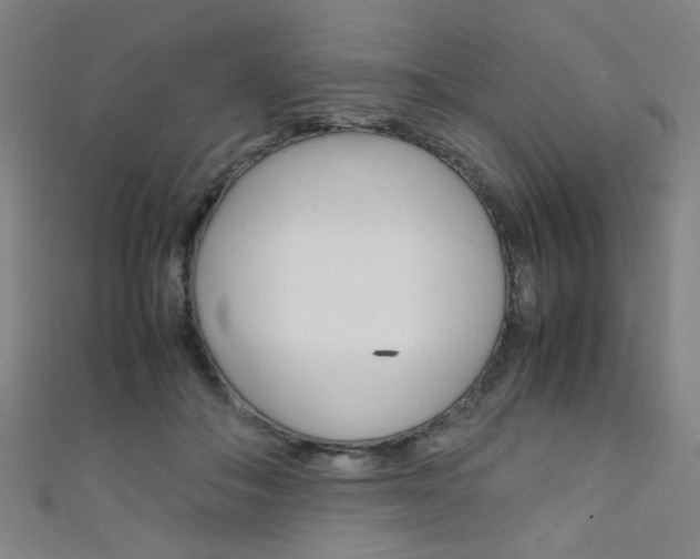 X0000111350506200907100938