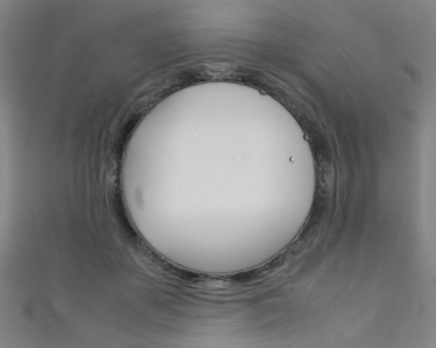 X0000111350507200907100938