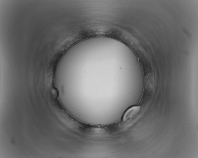X0000111350509200907100938