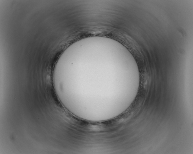X0000111350510200907100938