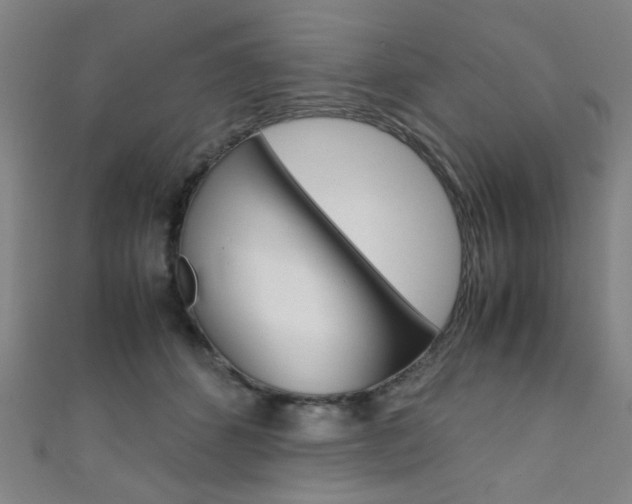 X0000111350512200907100938