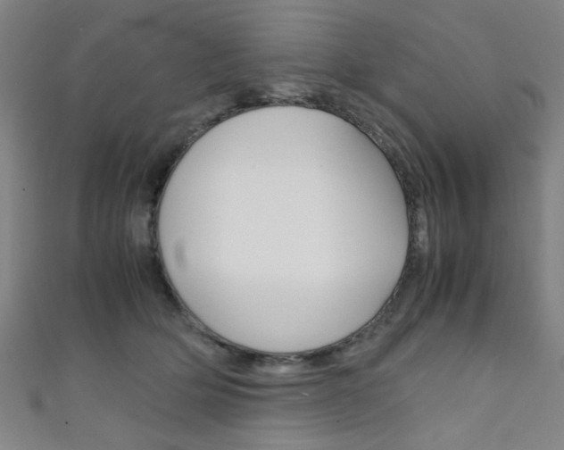 X0000111350514200907100938