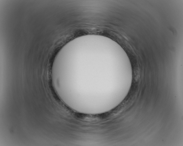 X0000111350515200907100938
