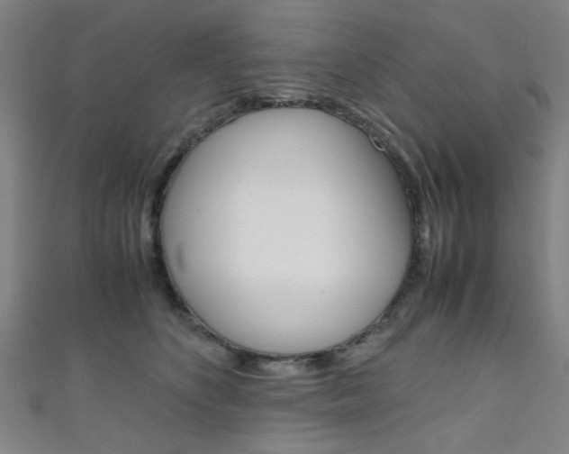 X0000111350516200907100938