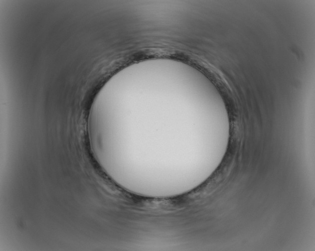 X0000111350517200907100938