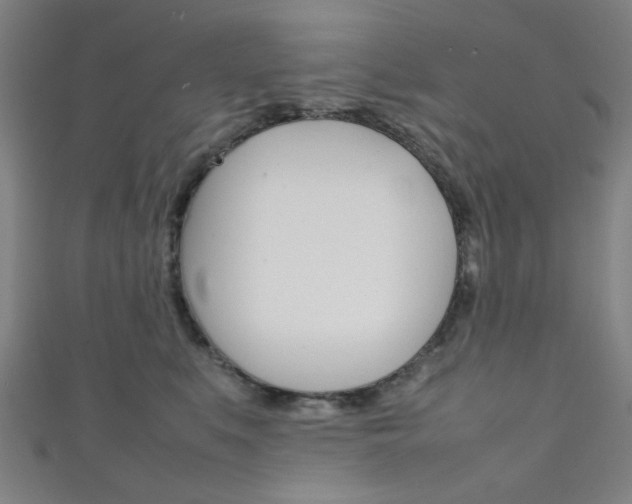 X0000111350519200907100938