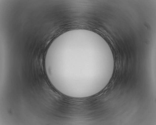 X0000111350520200907100938