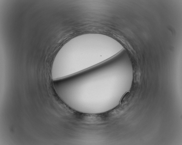X0000111350521200907100937