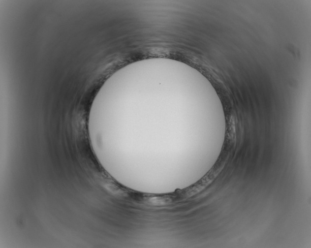 X0000111350522200907100937