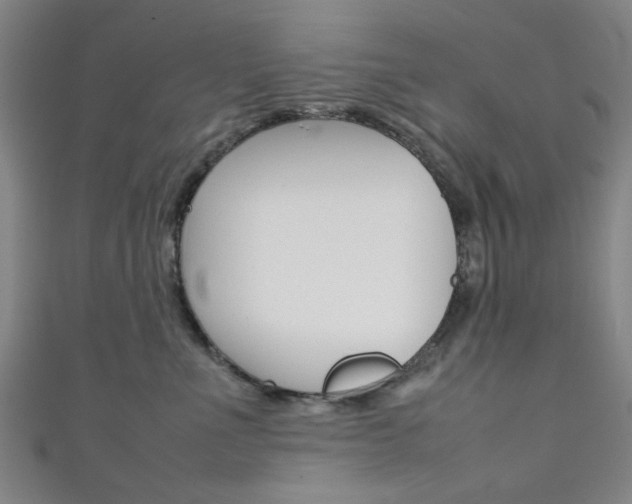 X0000111350523200907100937