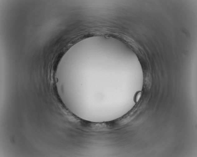 X0000111350525200907100937
