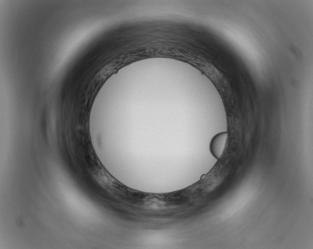 X0000111350526200907100937