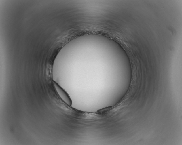 X0000111350528200907100937