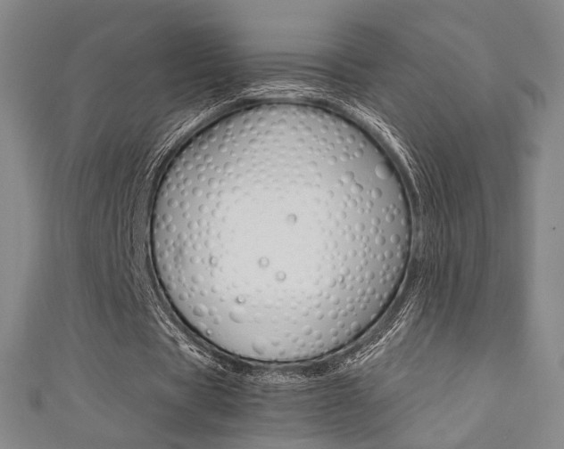 X0000111350529200907100937