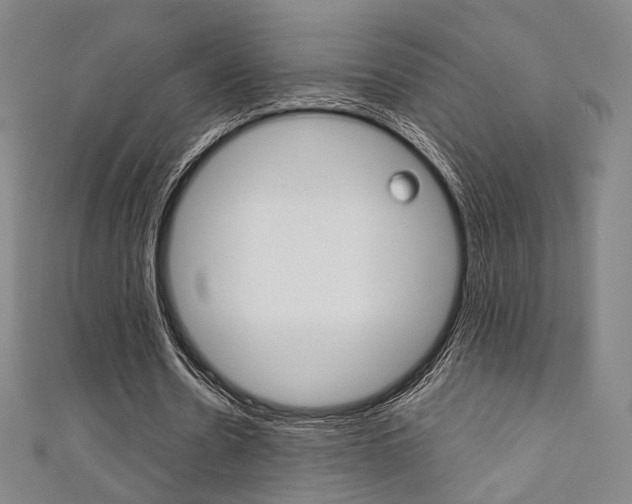 X0000111350530200907100937