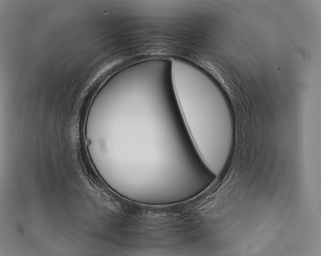 X0000111350531200907100937