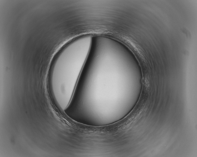 X0000111350532200907100937