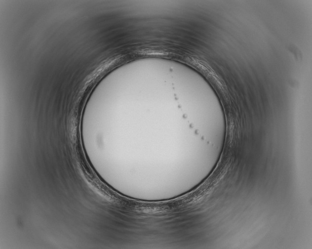 X0000111350533200907100937