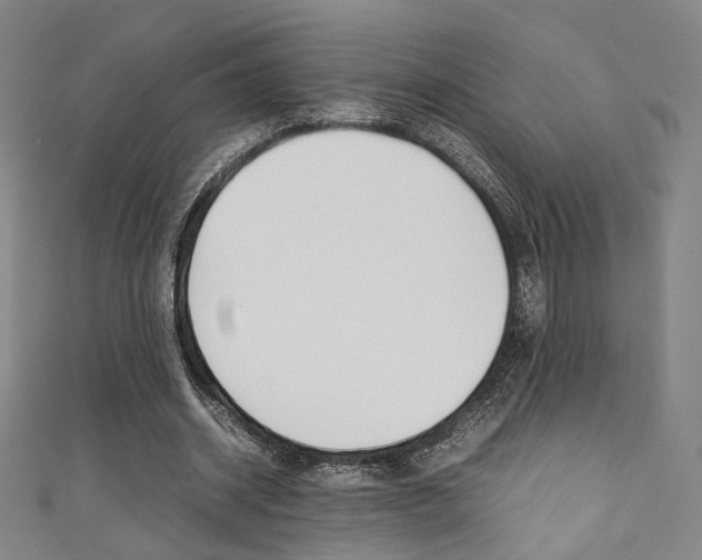 X0000111350534200907100937