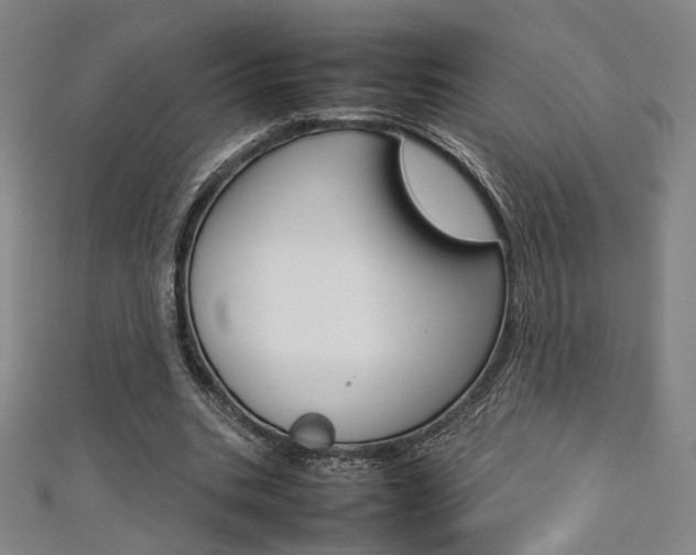 X0000111350535200907100937