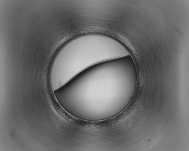 X0000111350538200907100937