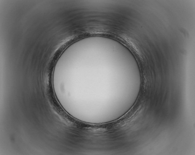 X0000111350539200907100937