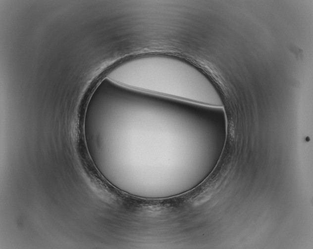 X0000111350540200907100937