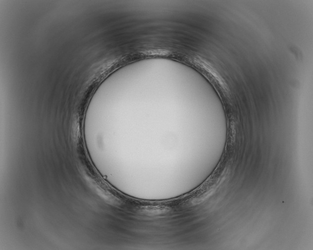 X0000111350541200907100937