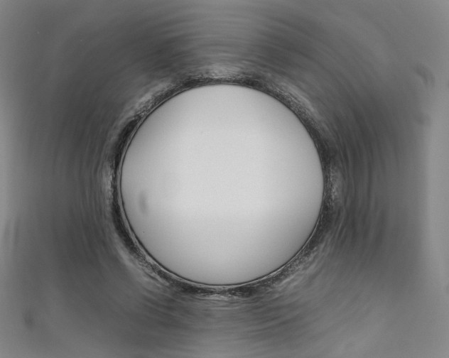 X0000111350542200907100937